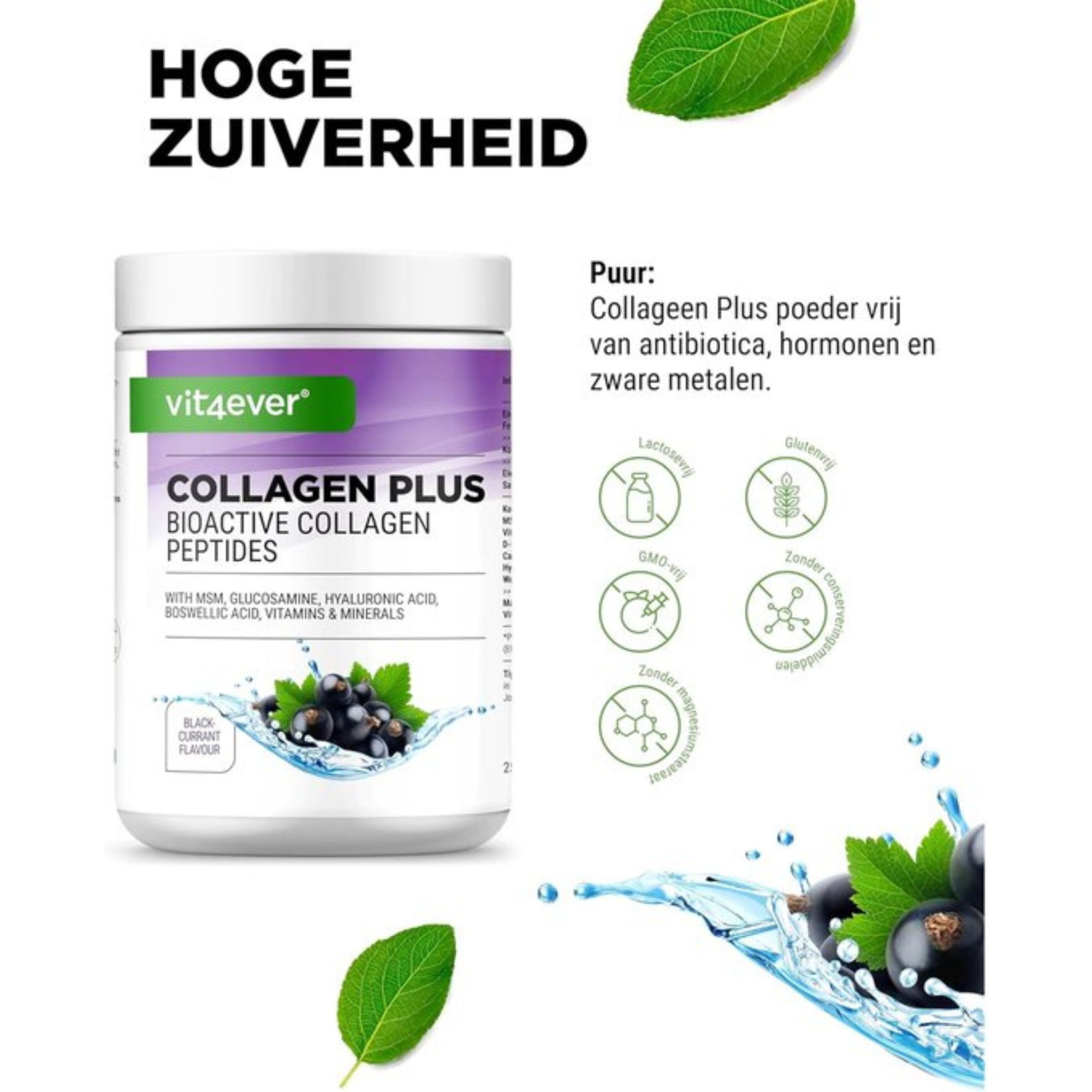 Collagen Plus Blackcurrant | 500g | Vit4ever