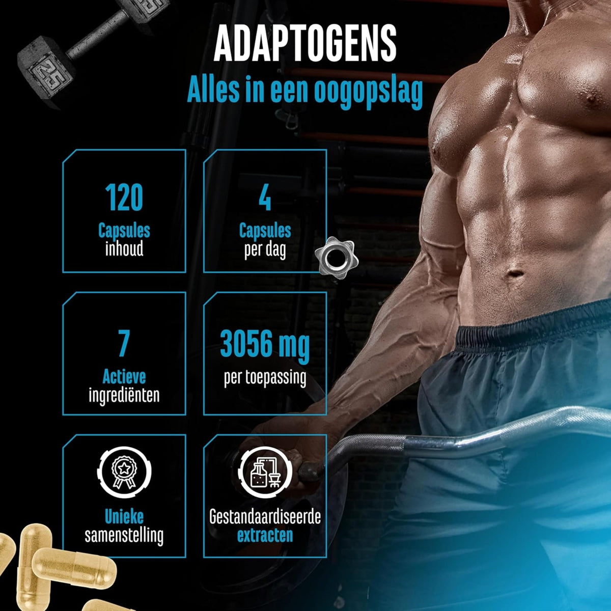 Complexe Adaptogènes (Ashwagandha, Rhodiola, Reishi & Ginseng) | 120 gélules | German Elite Nutrition