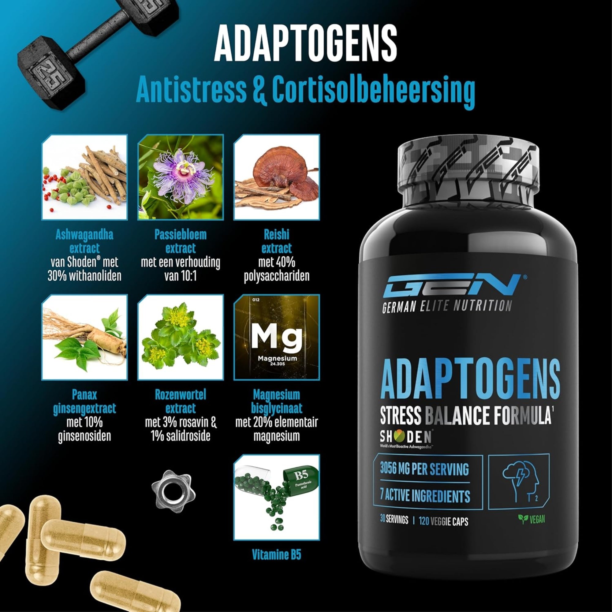 Adaptogen Complex (Ashwagandha, Rhodiola, Reishi & Ginseng) | 120 Capsules | German Elite Nutrition