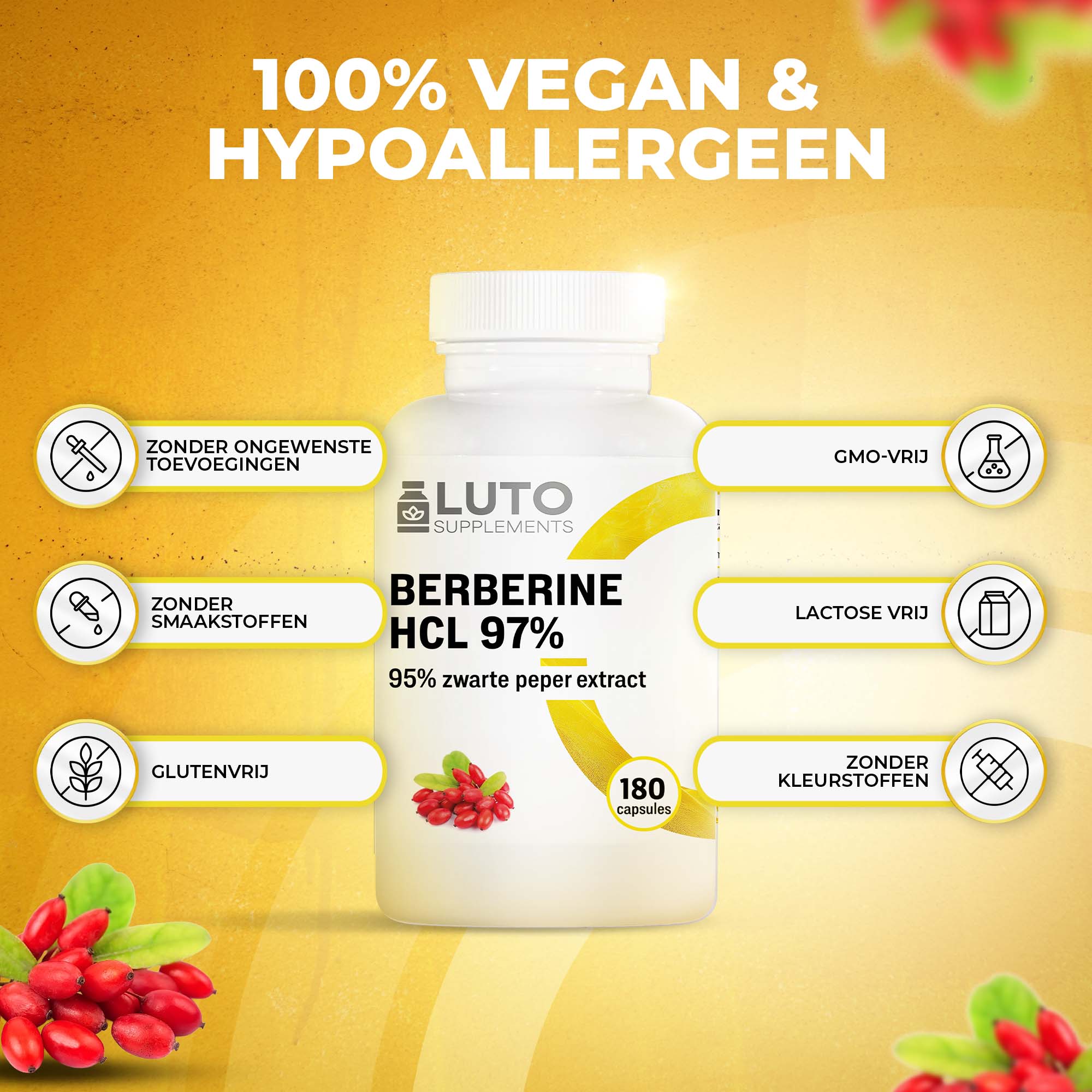 LUTO Berbérine HCL 97% 100% vegan et hypoallergénique - sans gluten, sans OGM, sans lactose et sans colorants