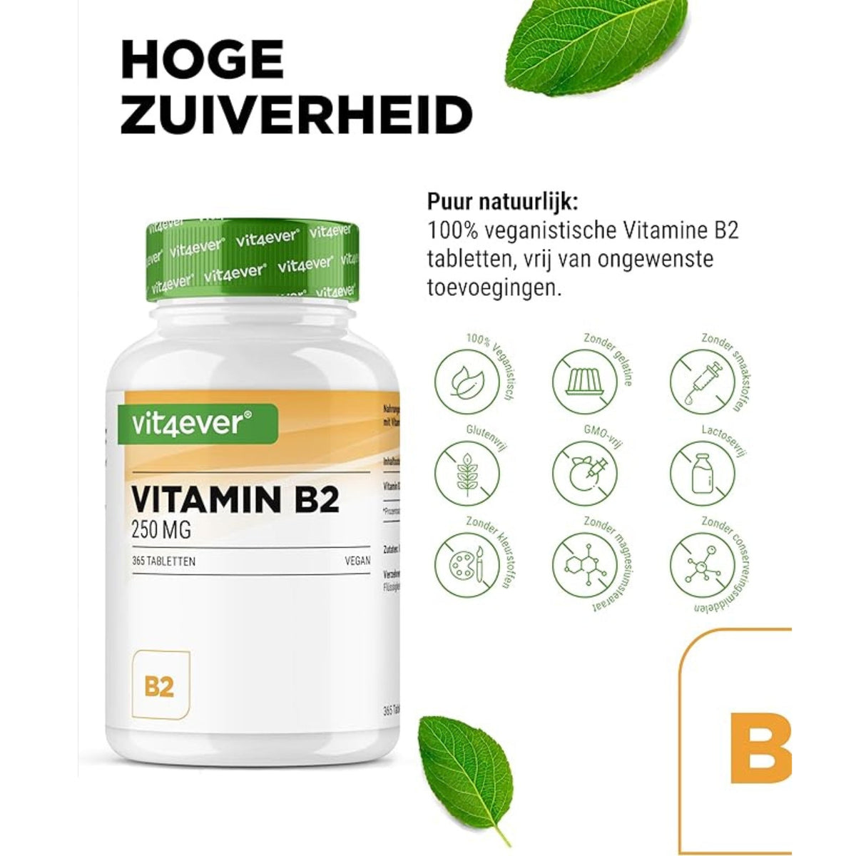 Photo produit d'un pot de Vit4ever Vitamine B2, avec des icônes indiquant que le complément est végétalien et exempt d'ajouts indésirables.