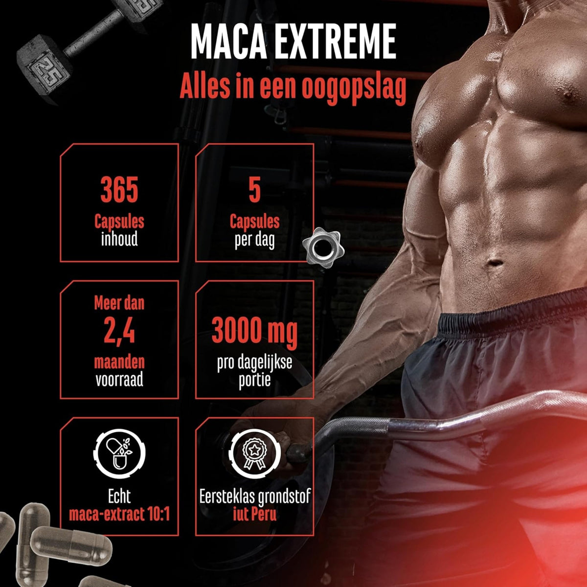 Maca Extreme (Extrait de Maca 10:1 600mg) | 365 Gélules | German Elite Nutrition