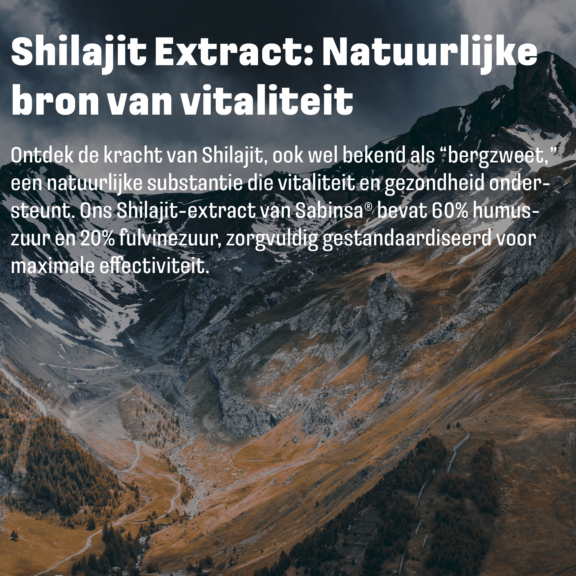 Extrait de shilajit de LUTO Supplements - source naturelle issue des régions montagneuses, standardisé