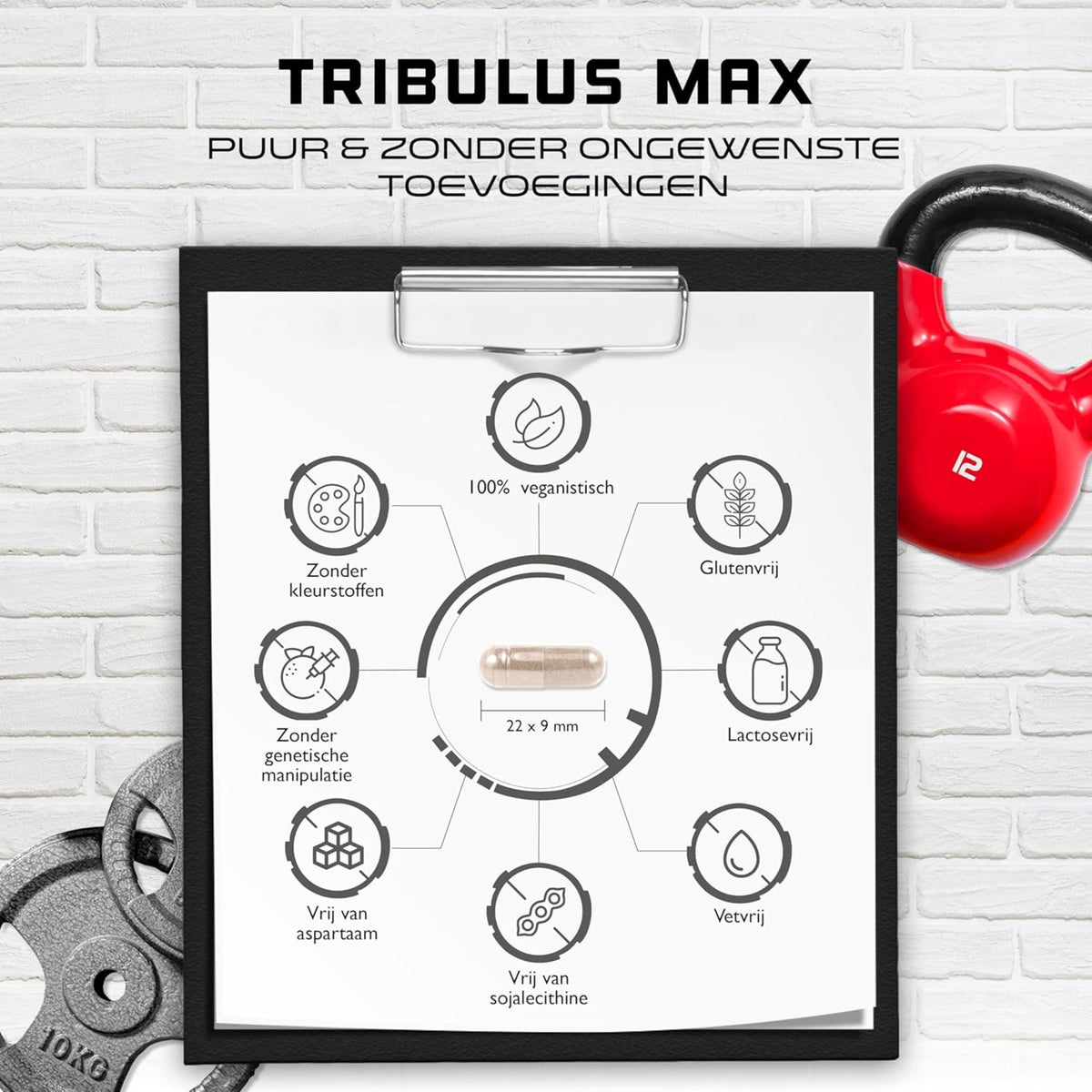 Tribulus Terrestris max sans OGM