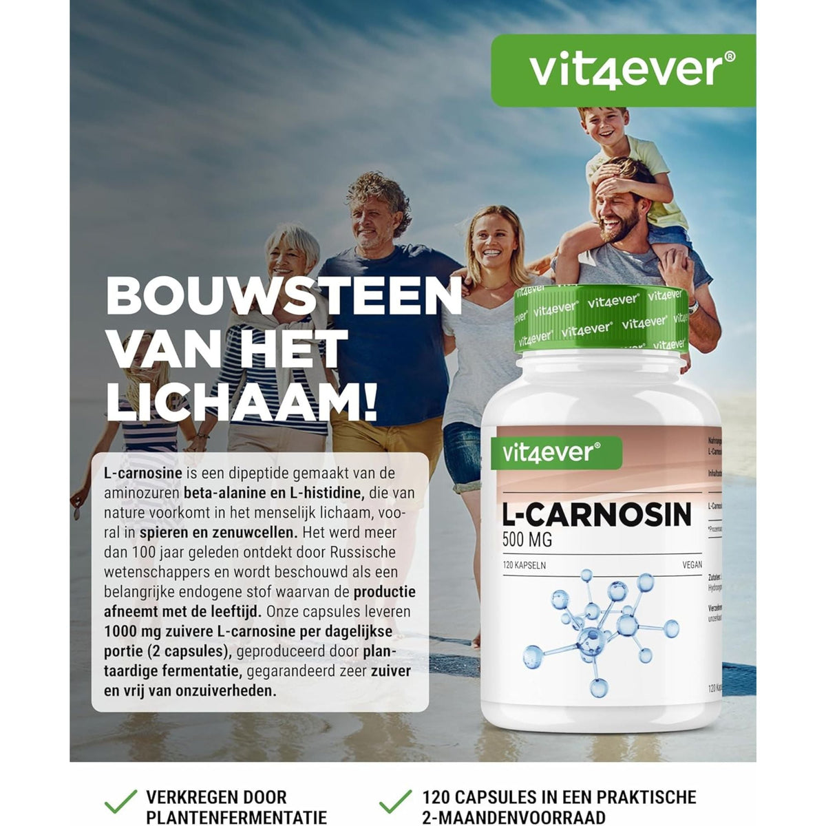 Vit4ever L-Carnosine 500mg 120 gélules - complément d'acides aminés | acheter en France