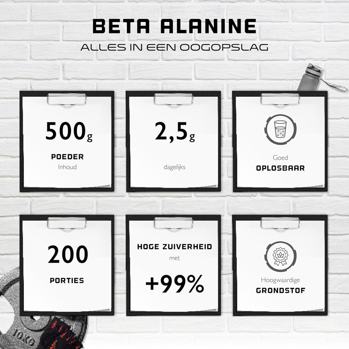 Beta-Alanine poudre | 500 g | German Elite Nutrition