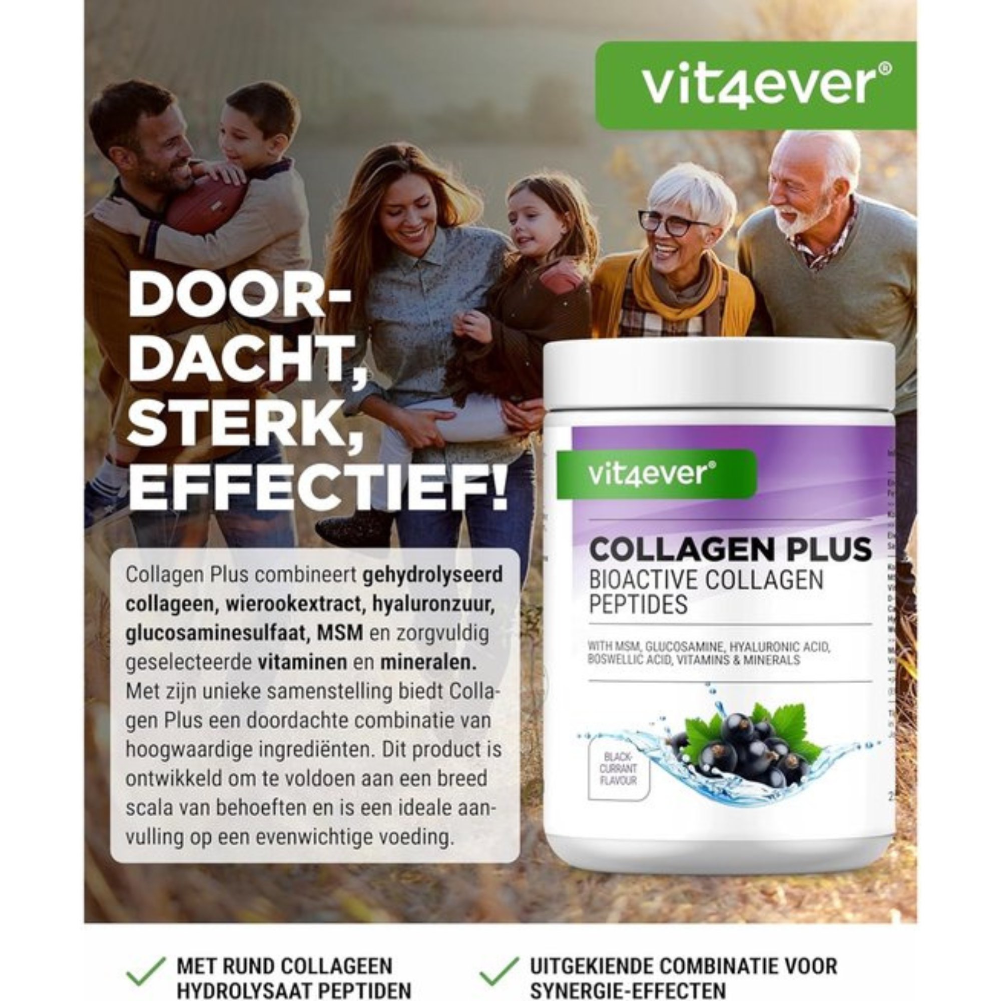 Collagène Plus Cassis | 500g | Vit4ever
