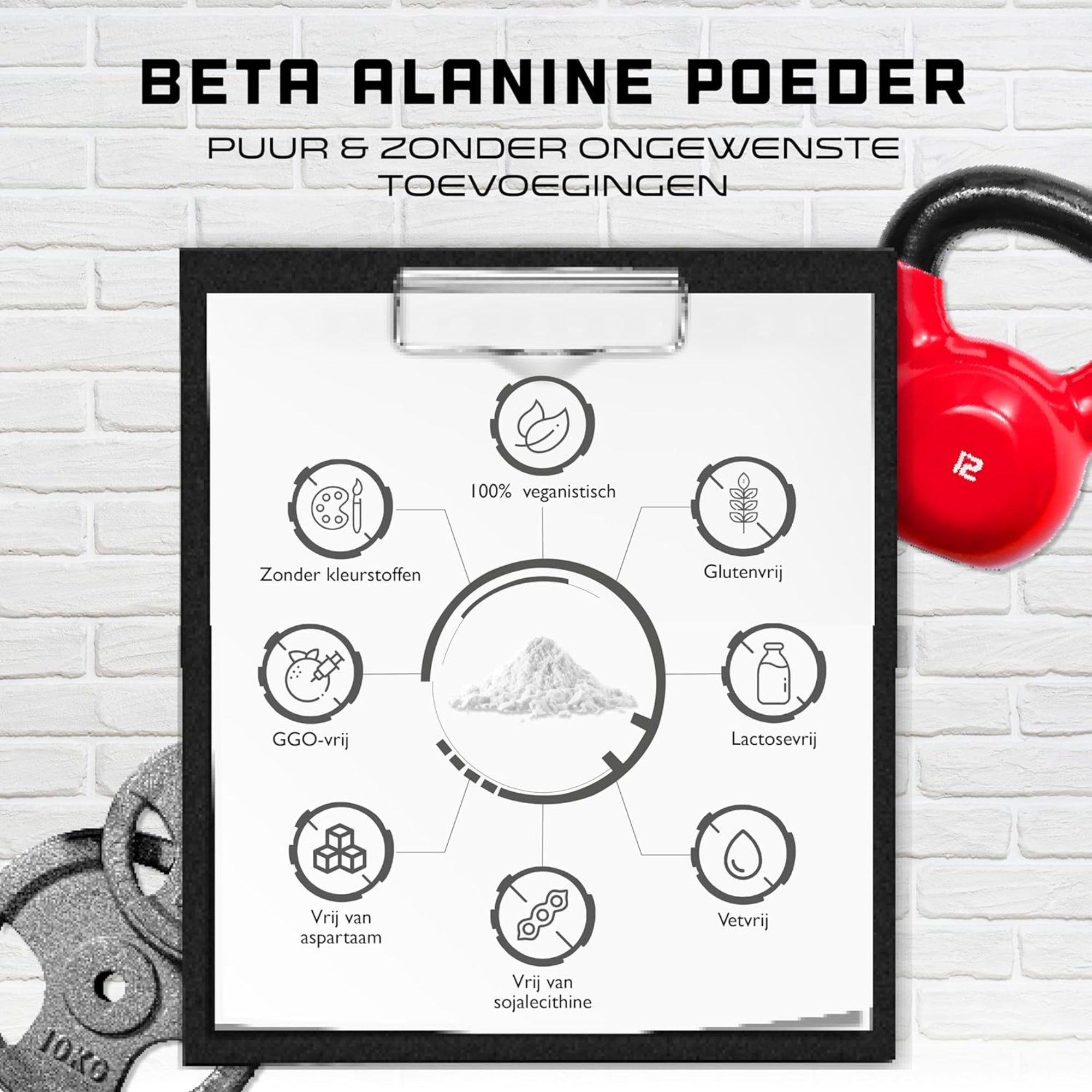 Beta-Alanine poudre | 500 g | German Elite Nutrition