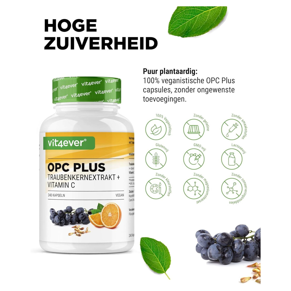 Vit4ever OPC Extrait de Pépins de Raisin + Vitamine C - complément à base de plantes sans ajouts inutiles