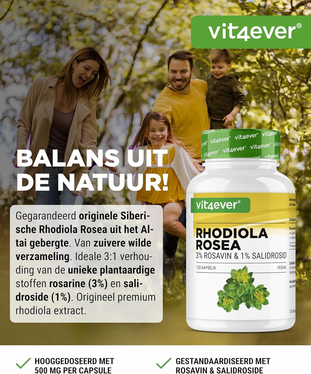Vit4ever Extrait de Rhodiola Rosea 500 mg - complément à base de plantes sans additifs inutiles