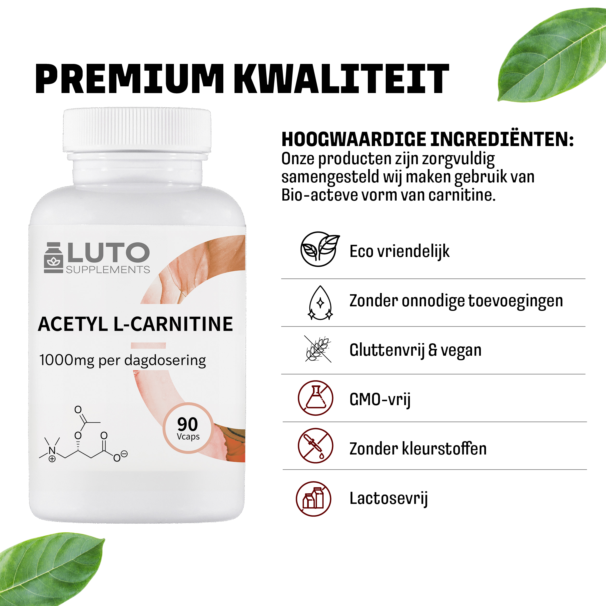 LUTO Acétyl-L-carnitine qualité premium - forme bio-active de la carnitine sans colorants