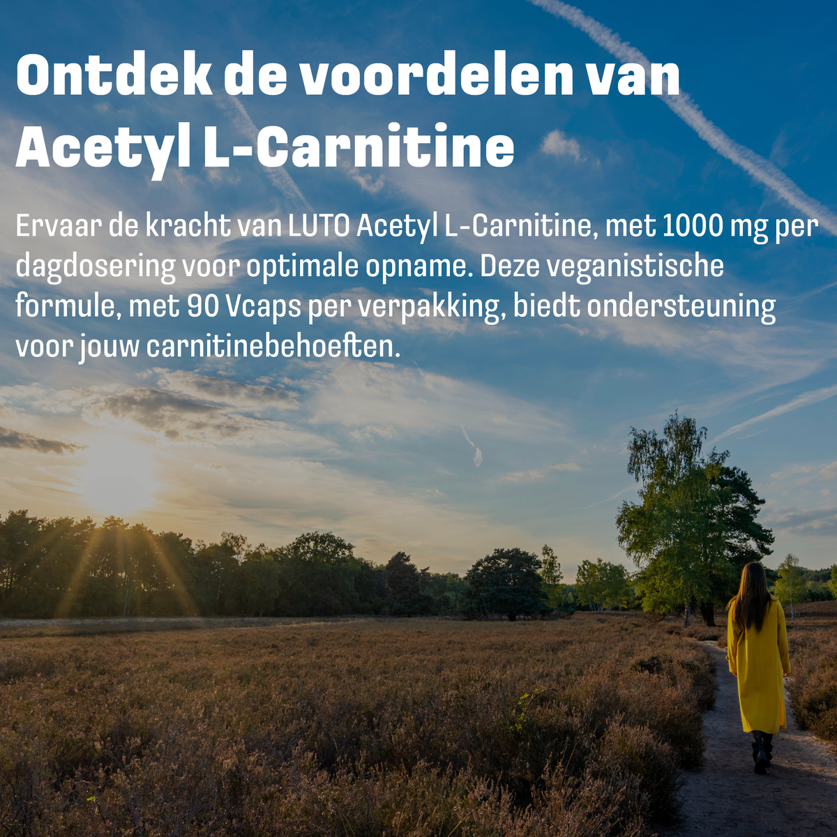 Formule vegan LUTO Acétyl-L-carnitine - 90 gélules végétales pour vos besoins quotidiens en carnitine