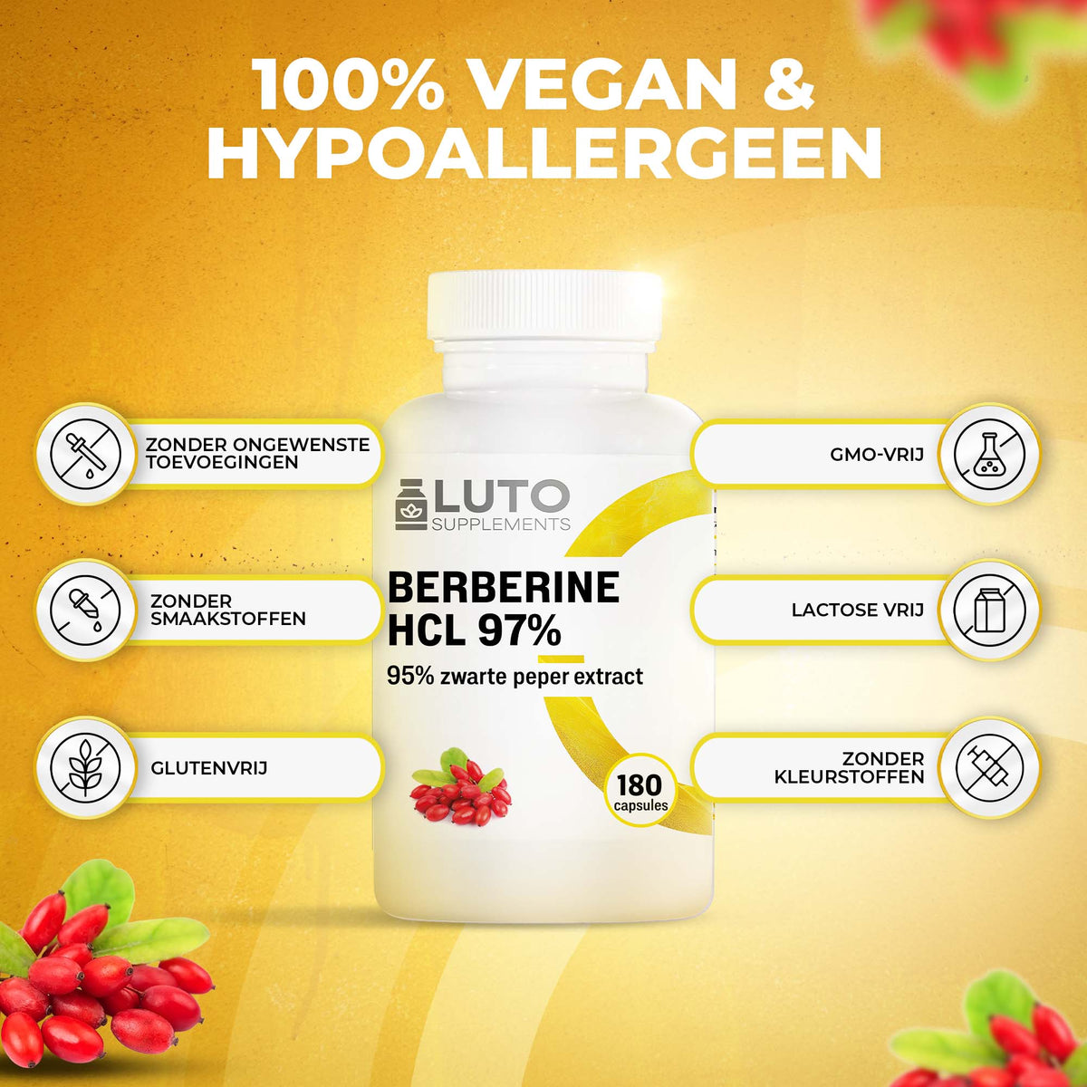 LUTO Berbérine HCL 97% 100% vegan et hypoallergénique - sans gluten, sans OGM, sans lactose et sans colorants
