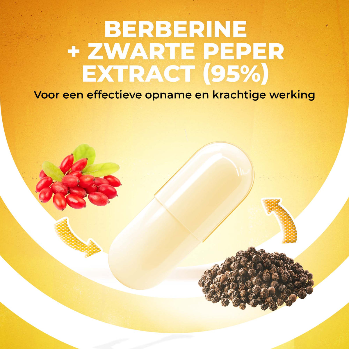 LUTO Berbérine avec 95% d'extrait de poivre noir pour une absorption efficace - action puissante par gélule