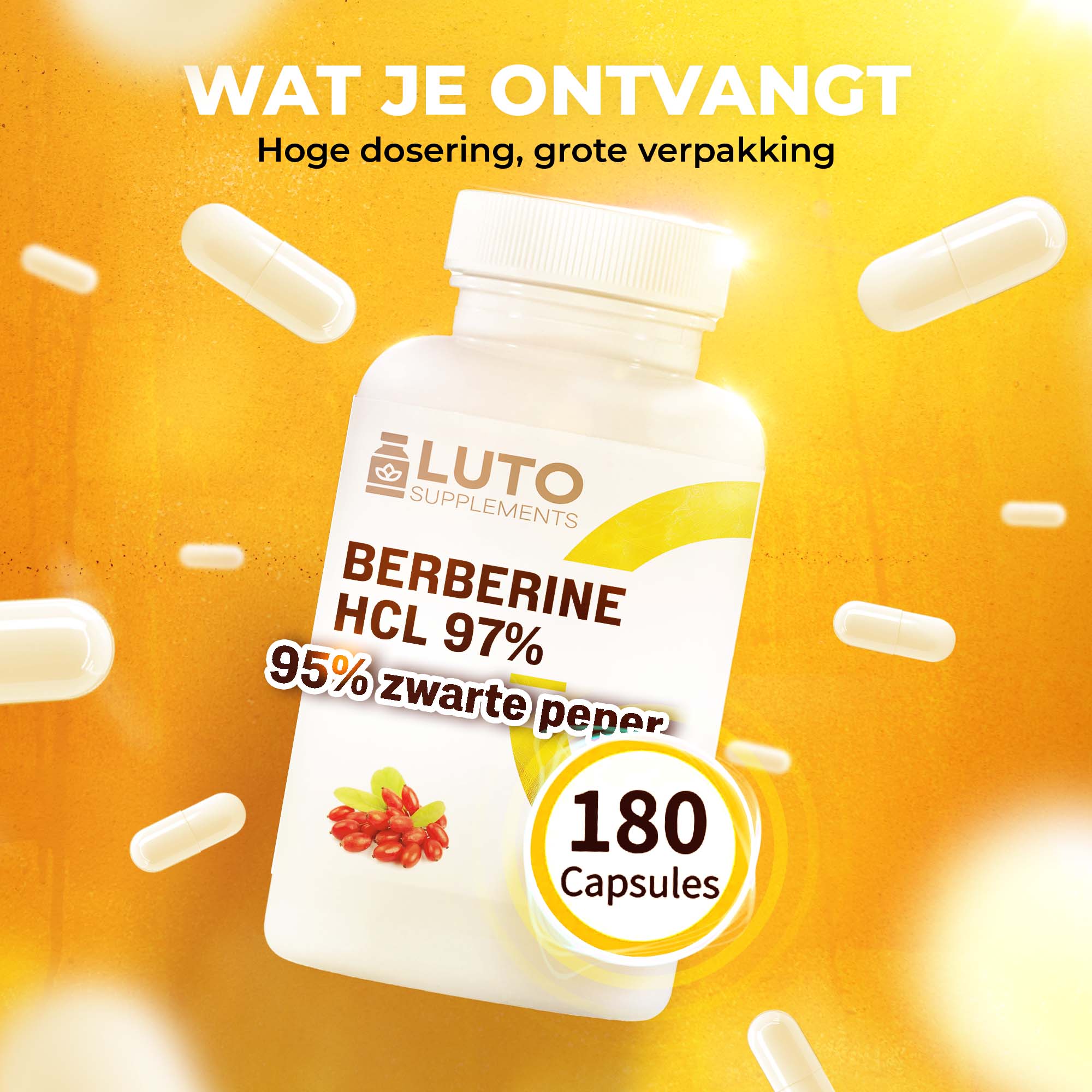 LUTO Berbérine HCL 180 gélules format avantageux - dosage élevé de 515mg de berbérine par gélule vegan
