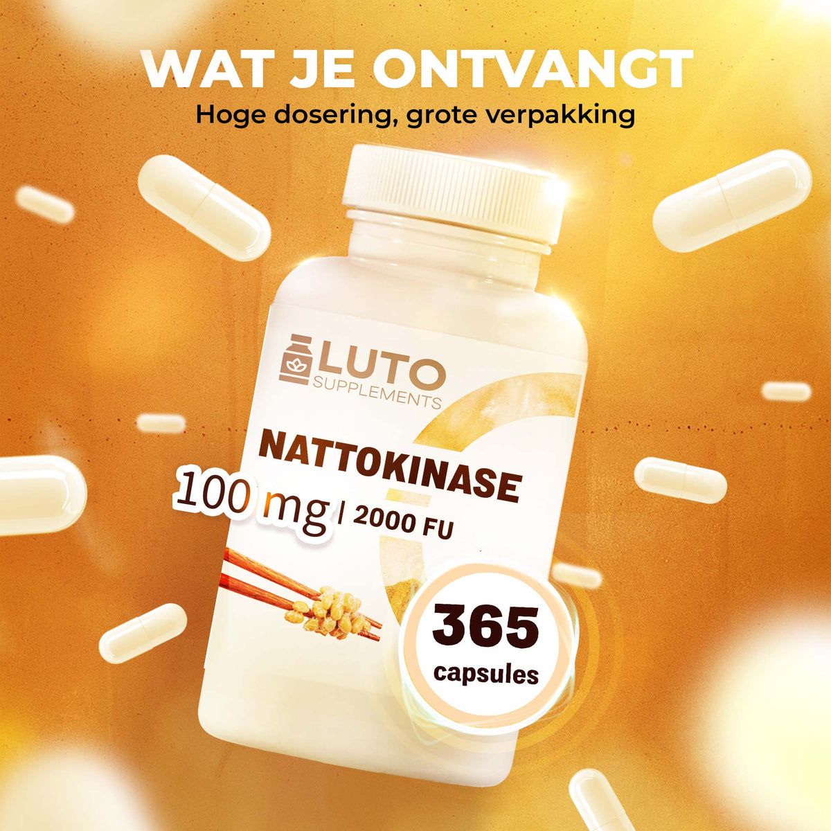 LUTO Nattokinase 365 gélules grand format - 100 mg avec 2000 FU d'activité par gélule
