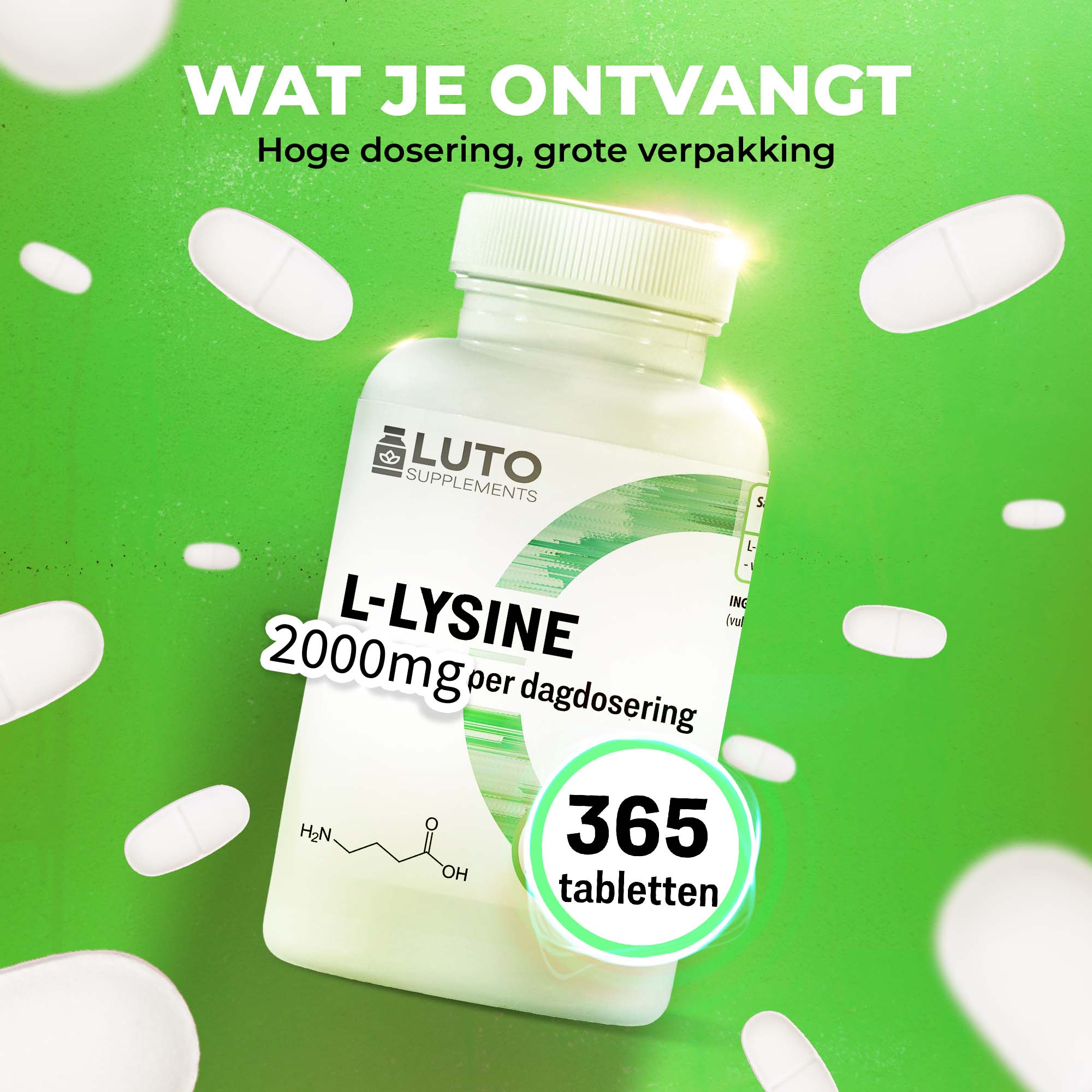Grand pot de L-Lysine avec 365 comprimés, réserve d'un an à raison d'un comprimé par jour