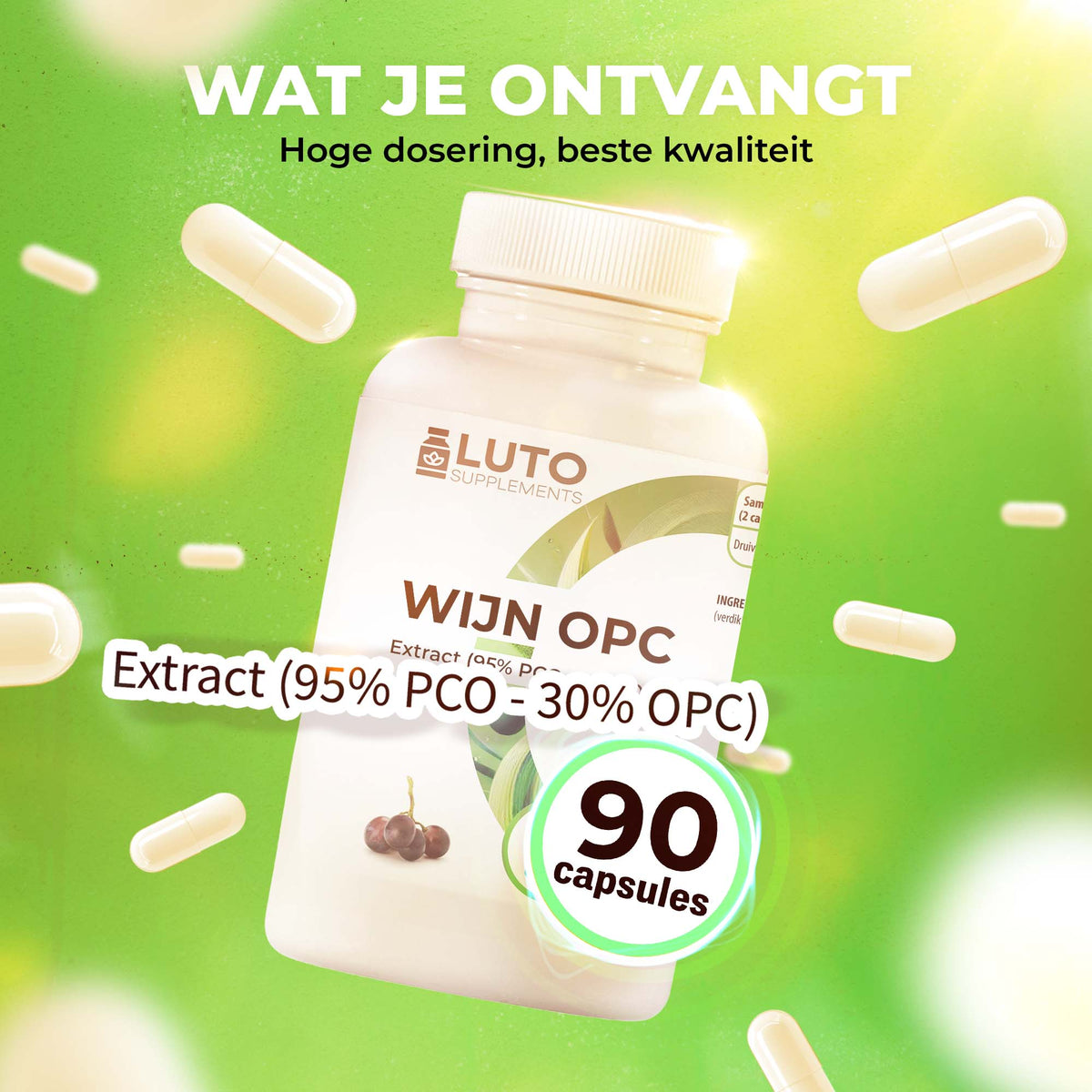 LUTO Vin OPC 90 capsules - extrait de pépins de raisin à 95% PCO, dosage élevé, meilleure qualité