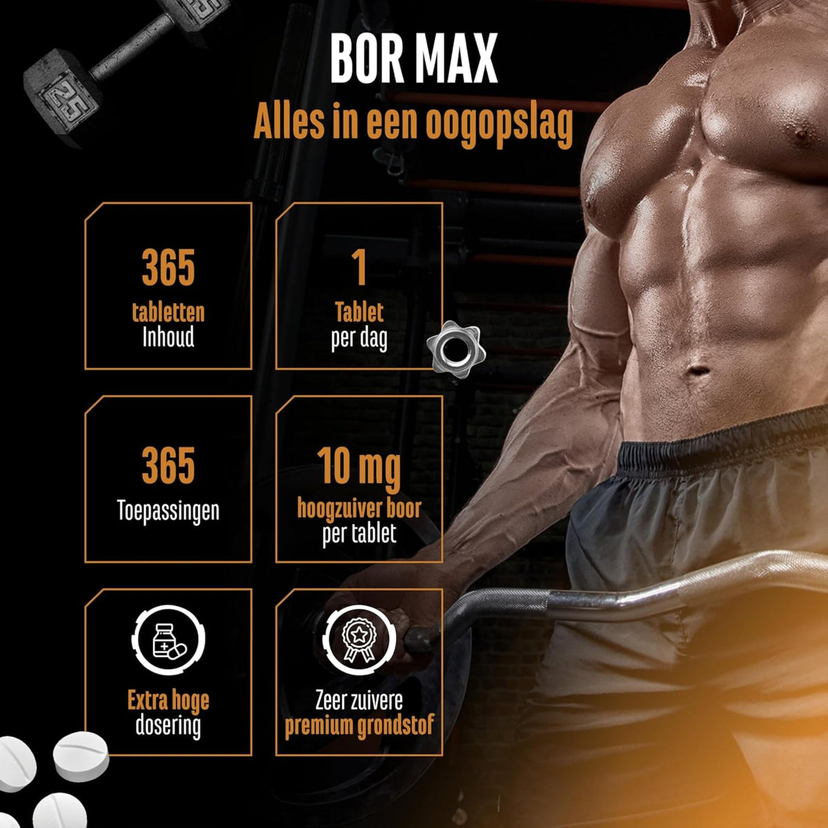 Composition du Bore max