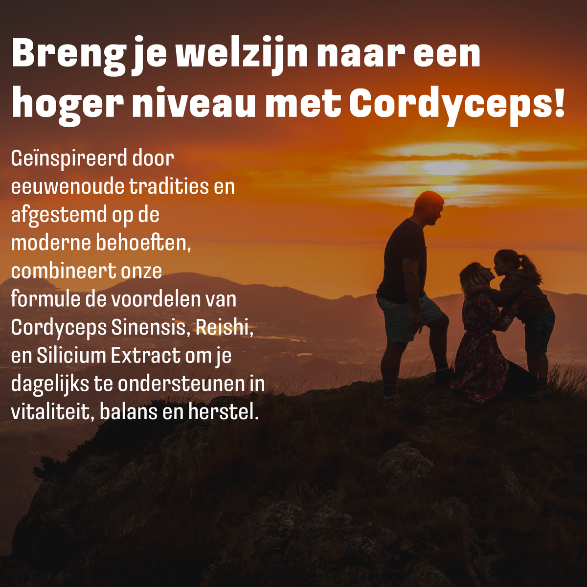 Ingrédients purs Cordyceps Plus LUTO - cordyceps sinensis, extrait de reishi 20% et silicium issu de bambou
