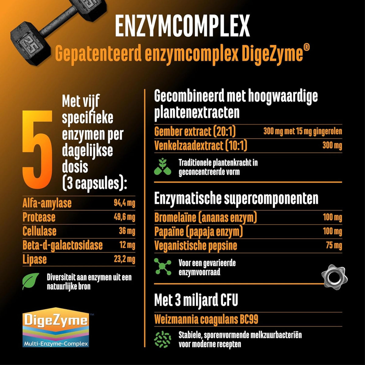 Complexe Enzymatique (DigeZyme®, probiotiques & extraits de plantes) | 120 gélules | German Elite Nutrition