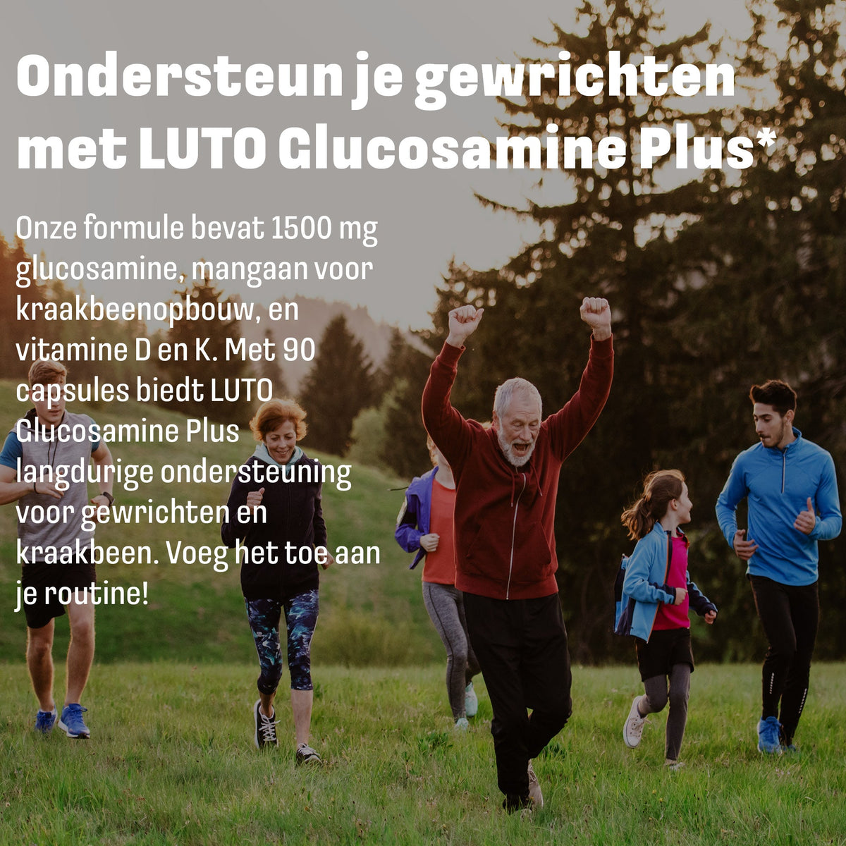 LUTO Glucosamine pour les articulations - 1500 mg de glucosamine avec manganèse