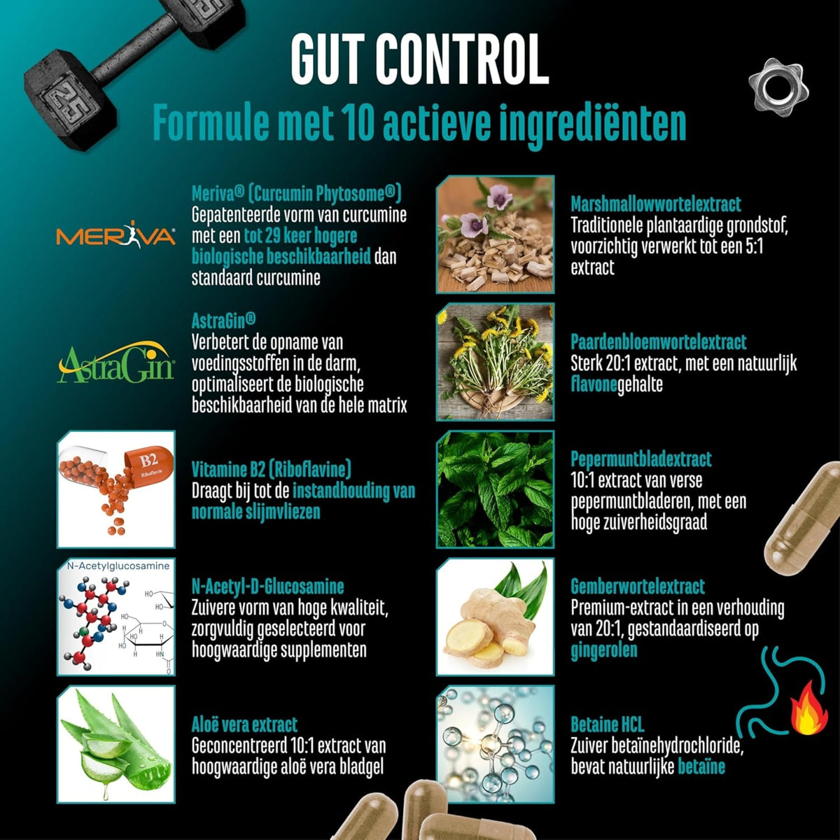 Gut Control (Équilibre Intestinal) | 120 gélules | German Elite Nutrition