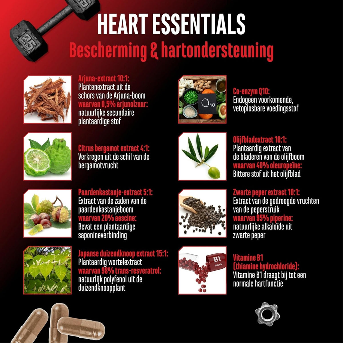 Heart Essentials de German Elite Nutrition