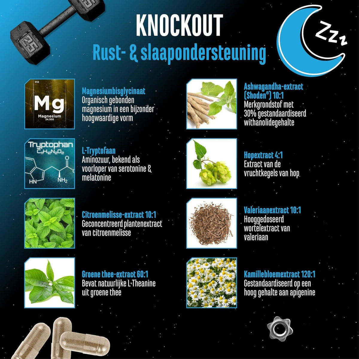 Knockout de German Elite Nutrition