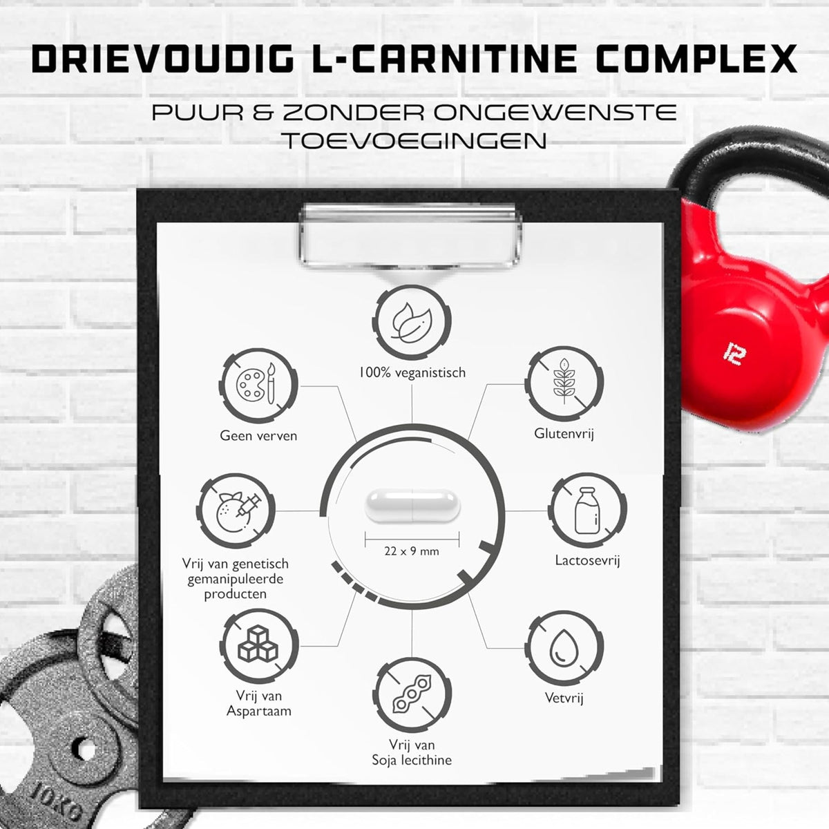 Complexe de L-carnitine sans OGM GEN
