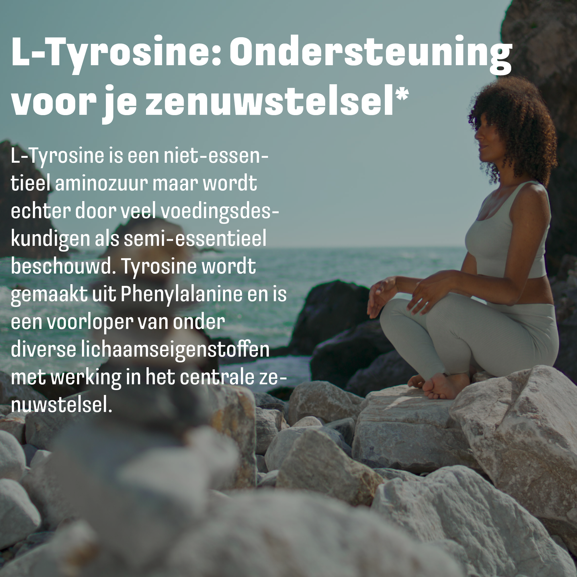 LUTO L-Tyrosine 1200mg pour la santé cognitive et la concentration, gélules d'acide aminé végétal