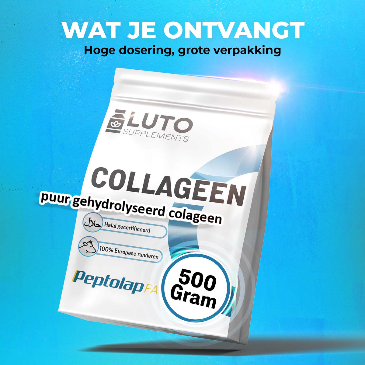 LUTO Peptolap Fast Collagène 500 grammes grand format - collagène hydrolysé pur