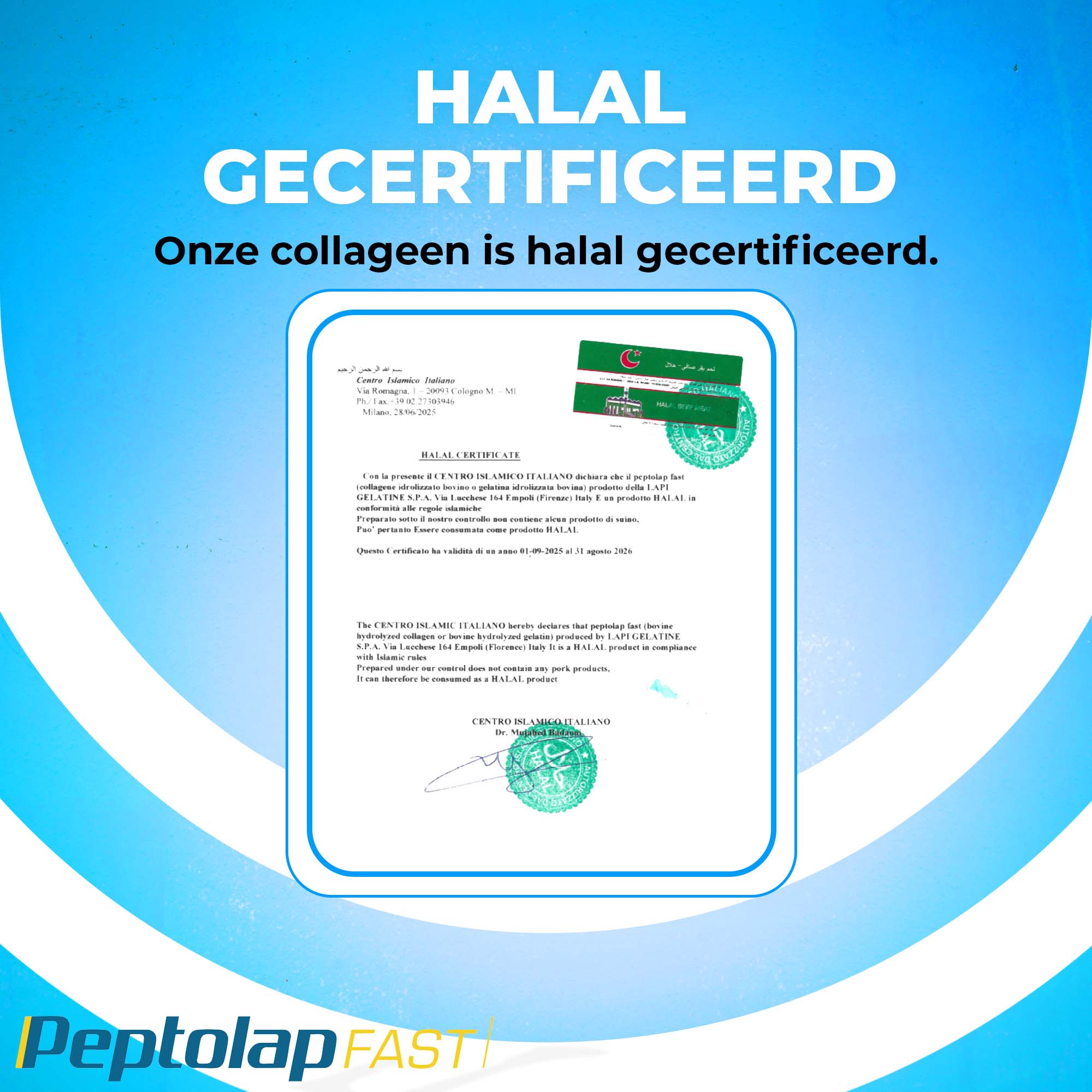 LUTO Peptolap Fast certificat halal - poudre de collagène certifiée halal