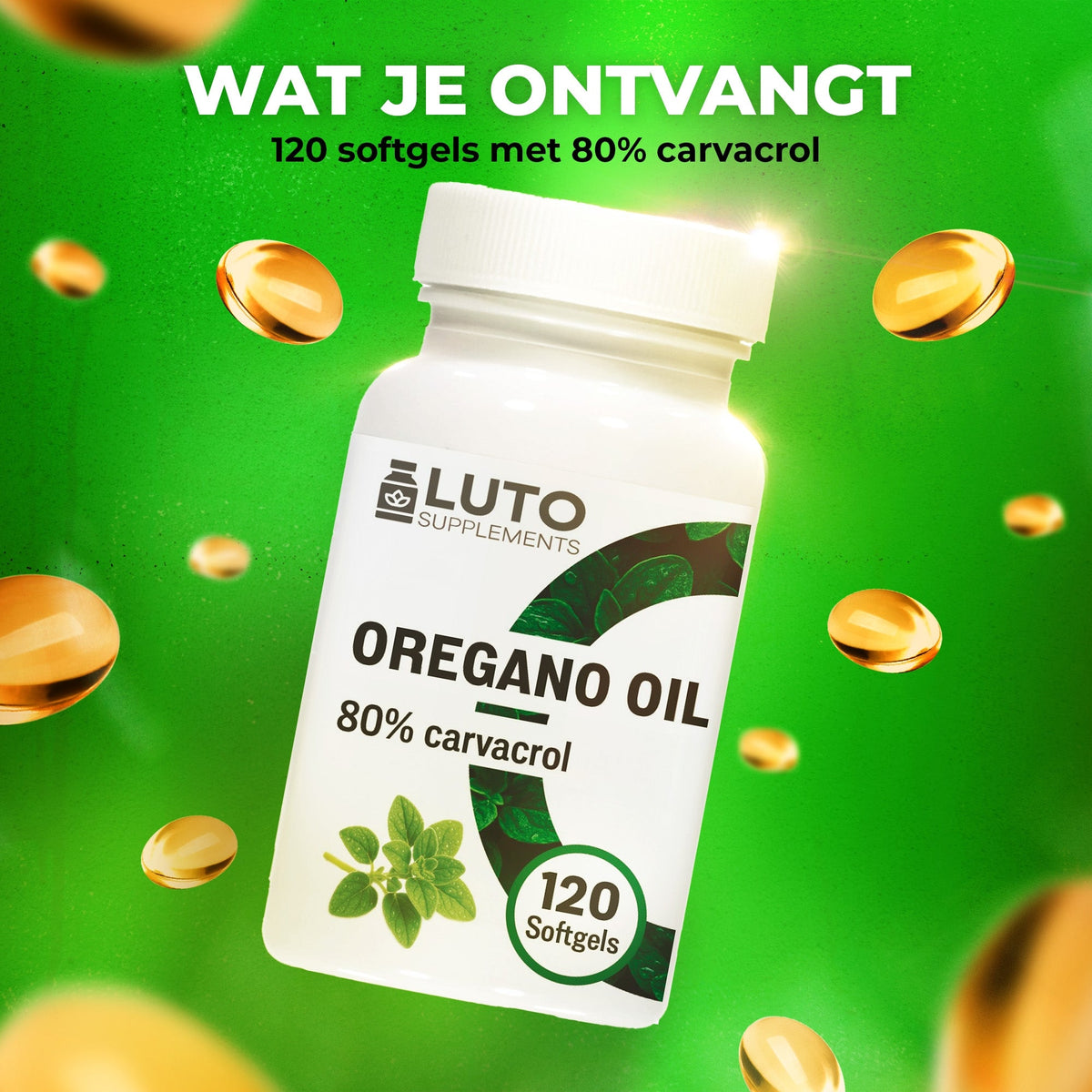 LUTO Oregano Oil 120 softgels à 80% de carvacrol - huile d'origan standardisée