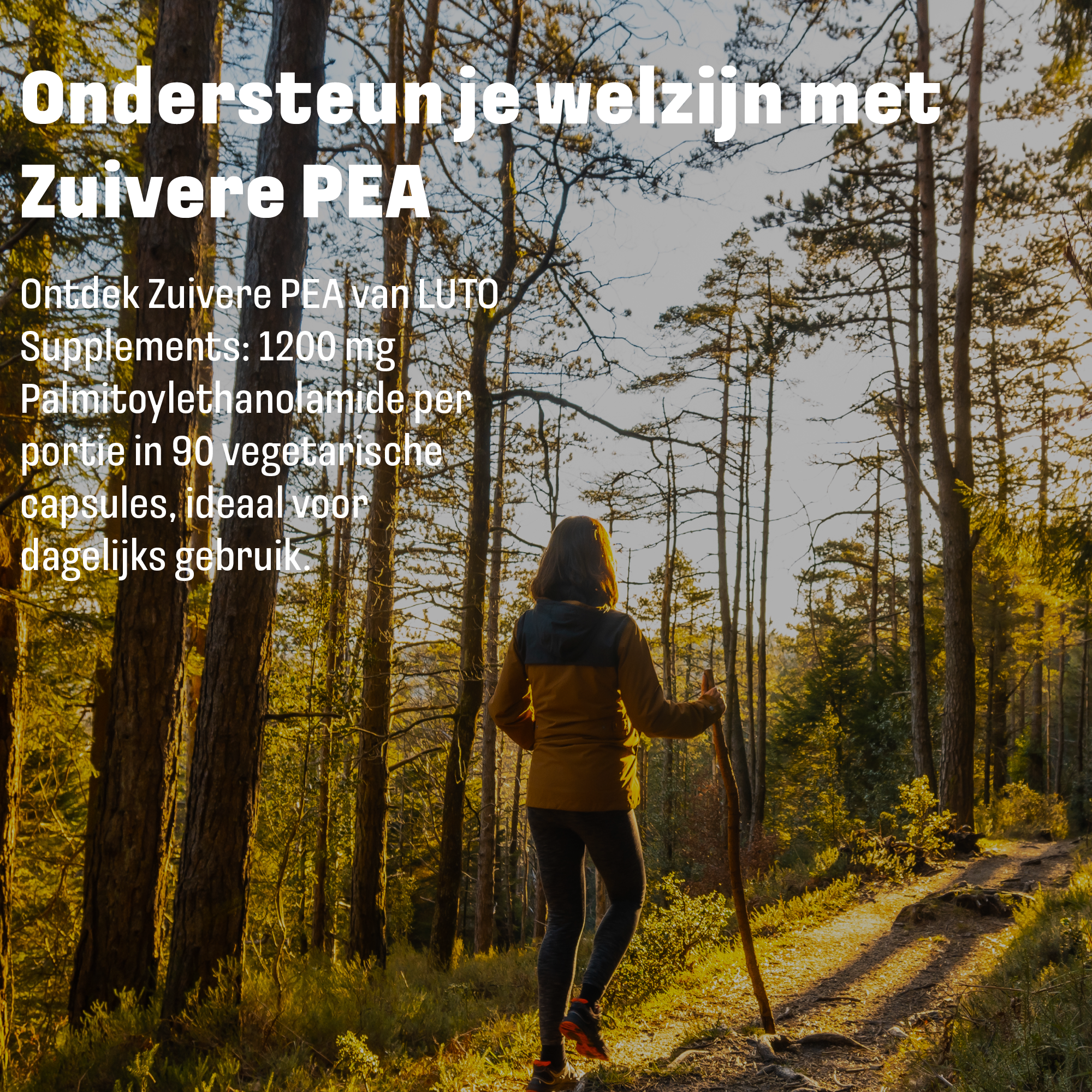 LUTO PEA 1200mg pour un soutien quotidien - complément végétal pour la santé et le bien-être
