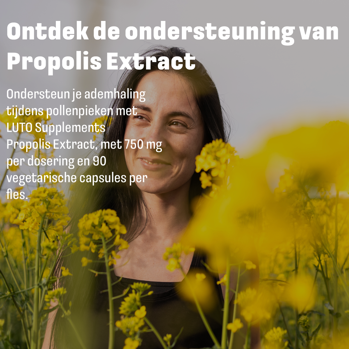 Extrait de propolis LUTO pendant les pics de pollen - 90 gélules végétariennes pour la respiration