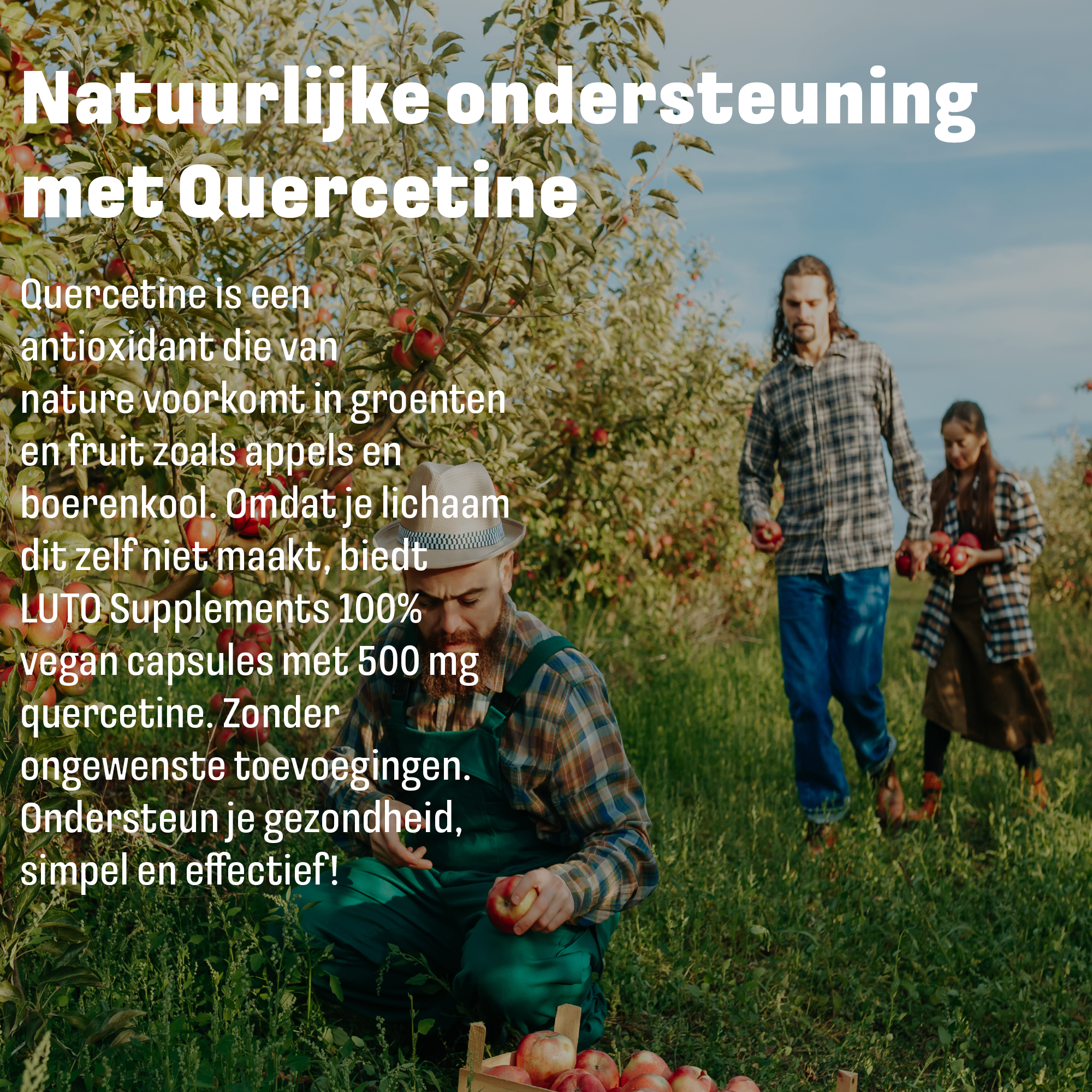 LUTO Quercétine Zinc Sélénium gélules pour le soutien antioxydant et le soutien du système immunitaire