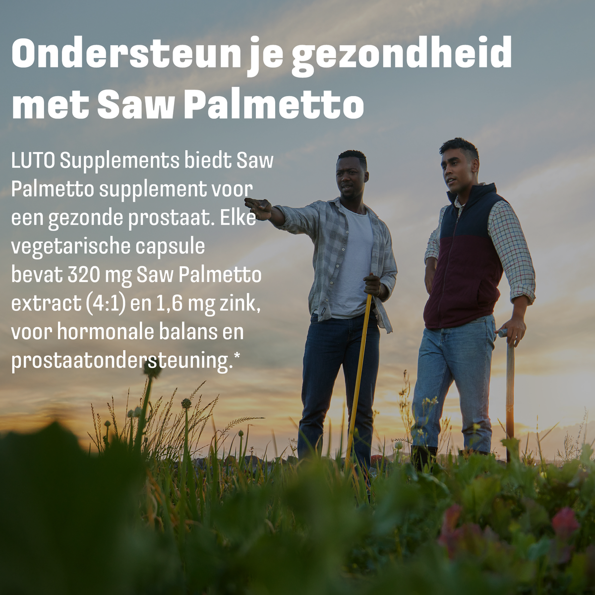 LUTO Saw Palmetto gélules végétales pour la santé masculine et la croissance des cheveux - soutien quotidien