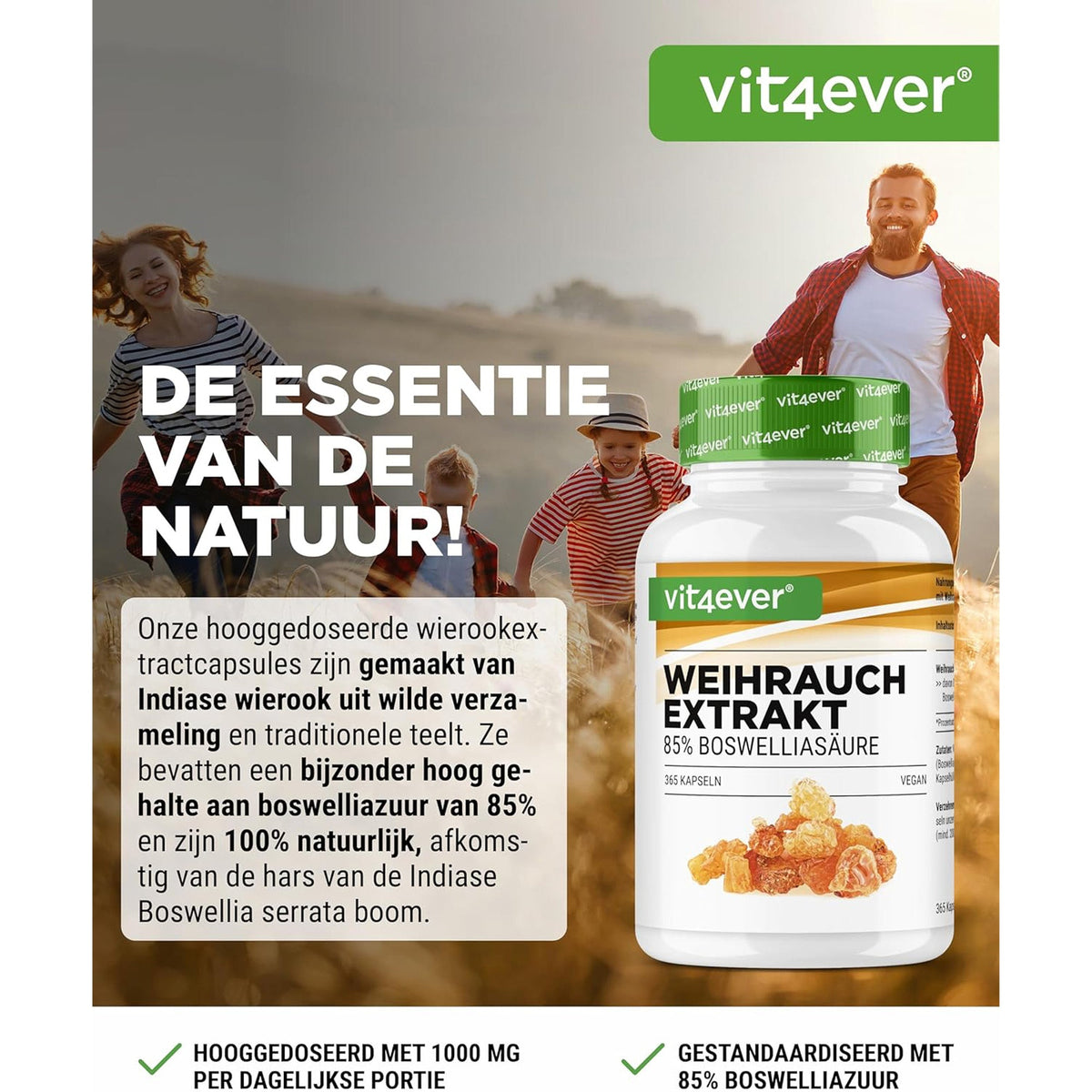 Vit4ever Boswellia Serrata Indien 1000 mg - complément à base de plantes sans additifs inutiles