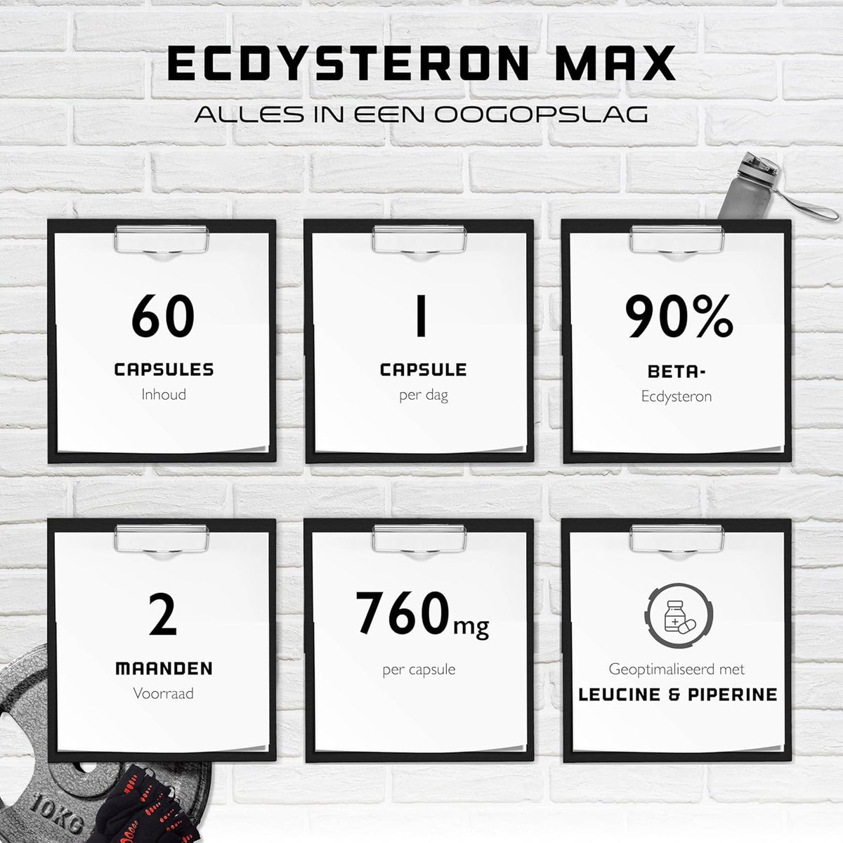 Infographie présentant les avantages du complément Ecdysterone Max.