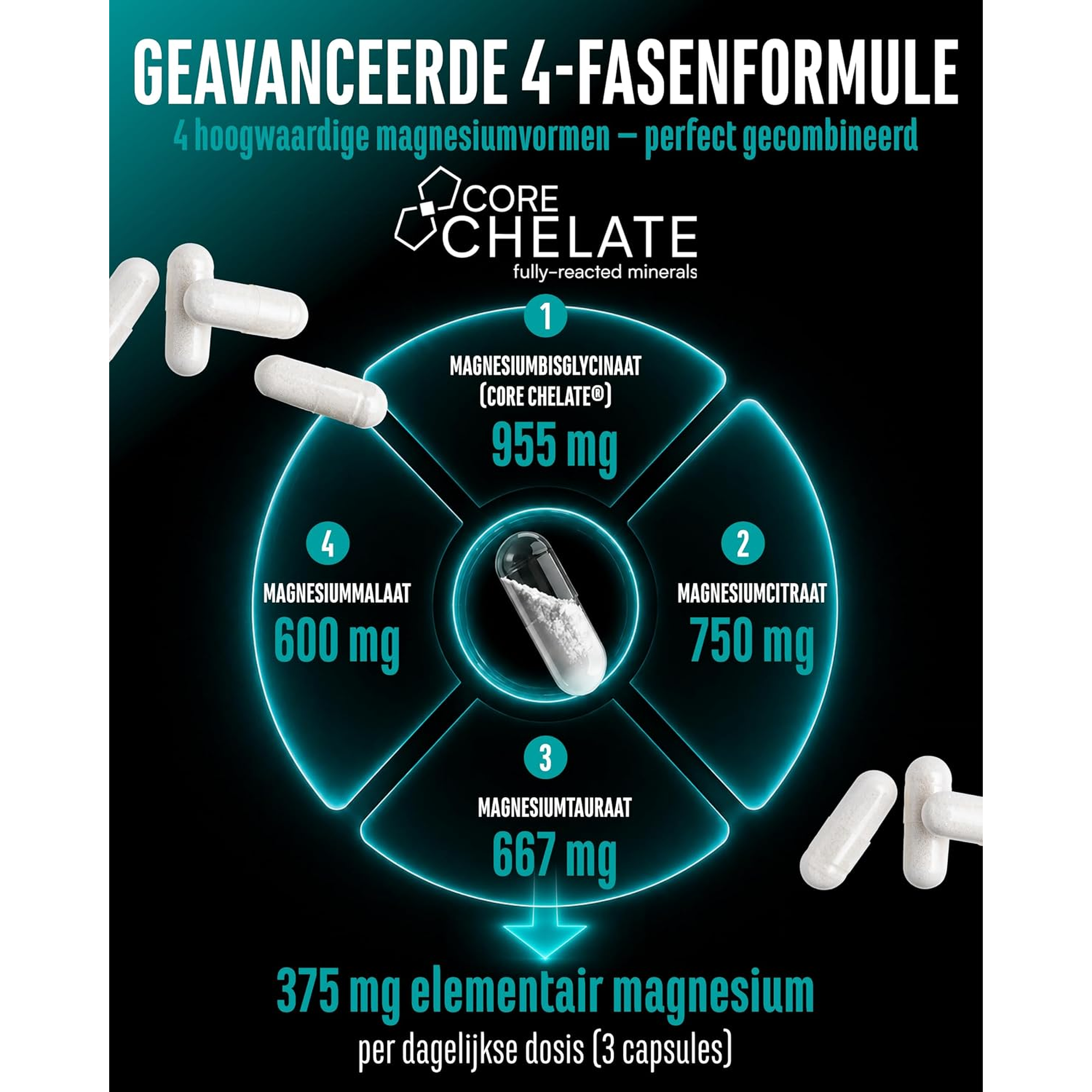 Formule à 4 phases avec magnésium bisglycinate, citrate, taurate et malate
