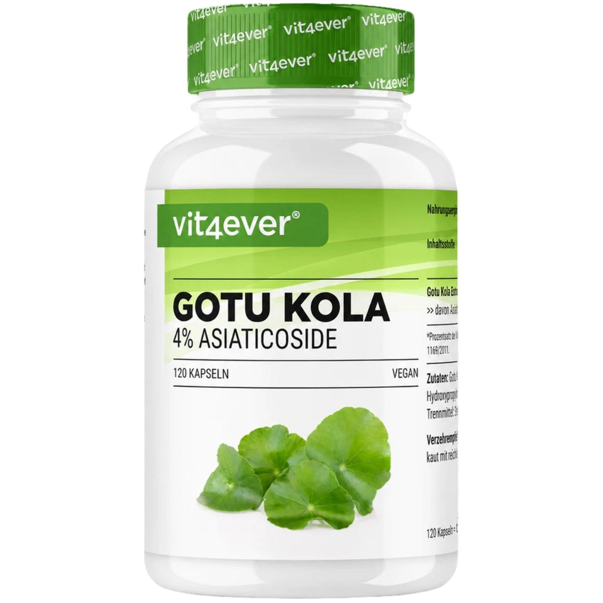 Vit4ever Gotu Kola 4% asiaticoside pot de 120 gélules