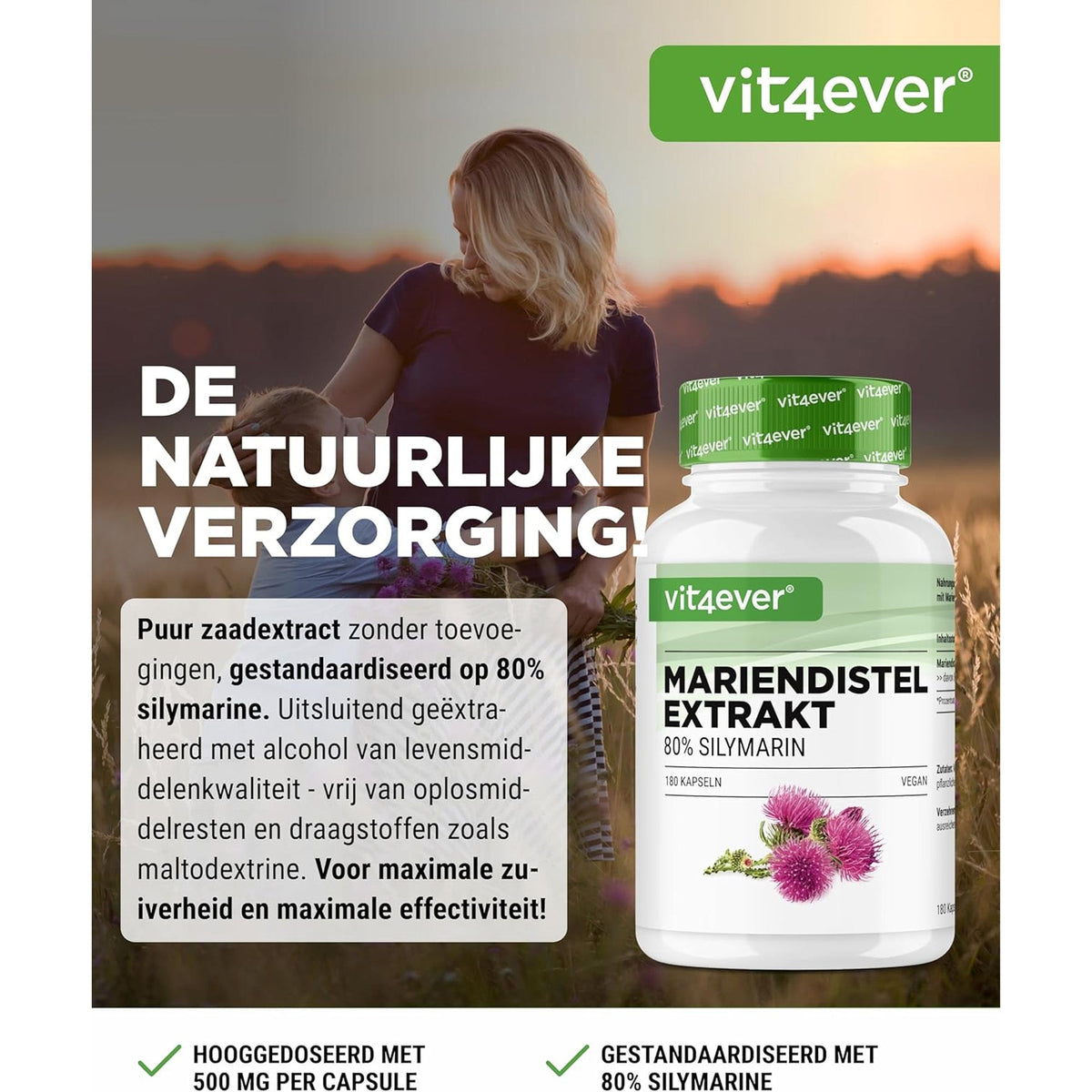 Vit4ever Extrait de Chardon-Marie (80% Silymarine) 500mg - complément à base de plantes sans ajouts inutiles