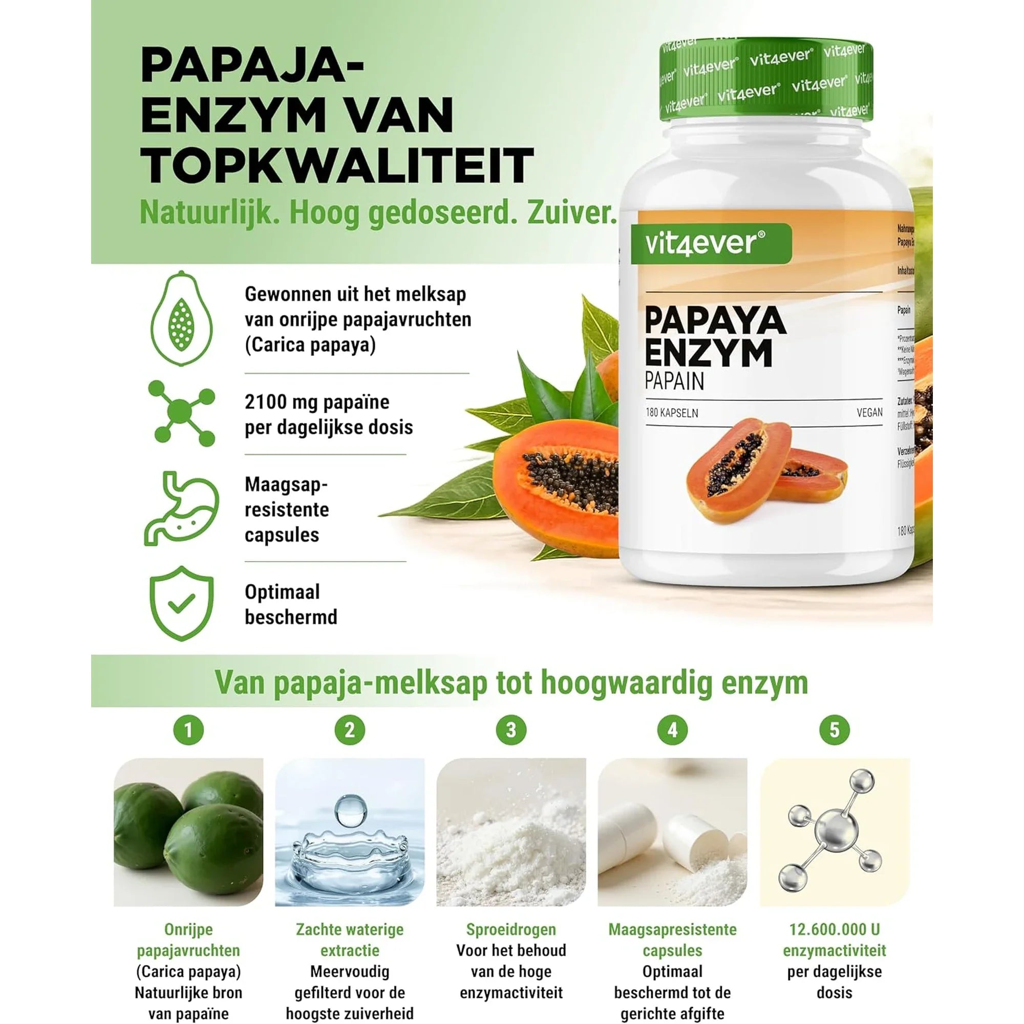 Enzyme de papaye extraite de la papaye, du latex à la gélule