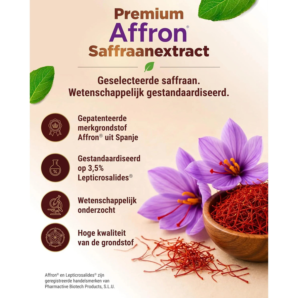 Extrait de safran Affron premium, standardisé à 3,5% de Lepticrosalides