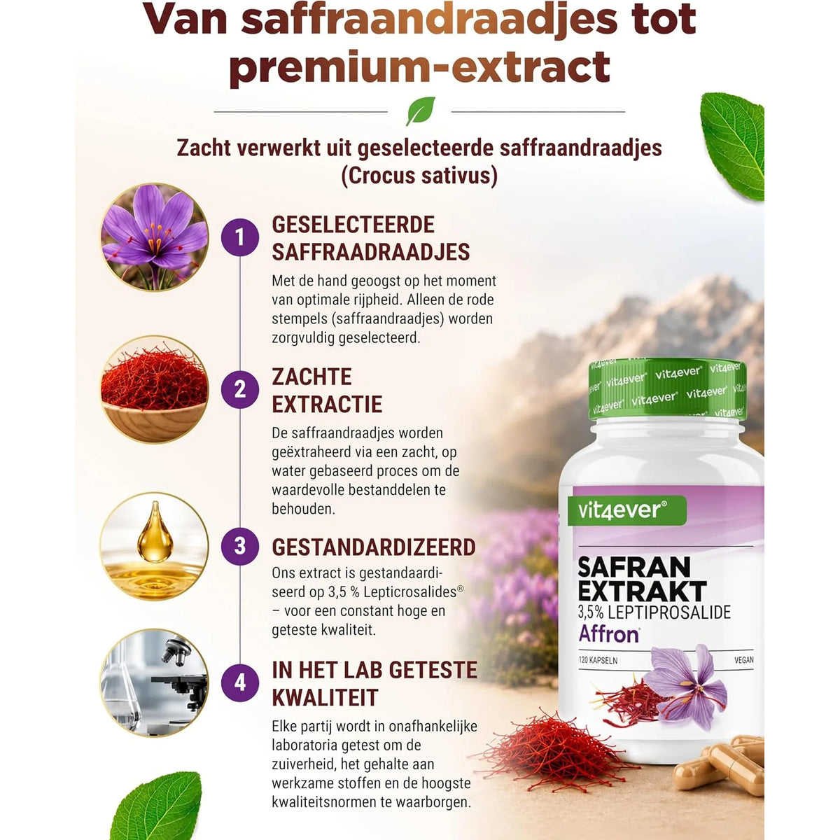 Des filaments de safran à l'extrait de safran premium, le processus de production
