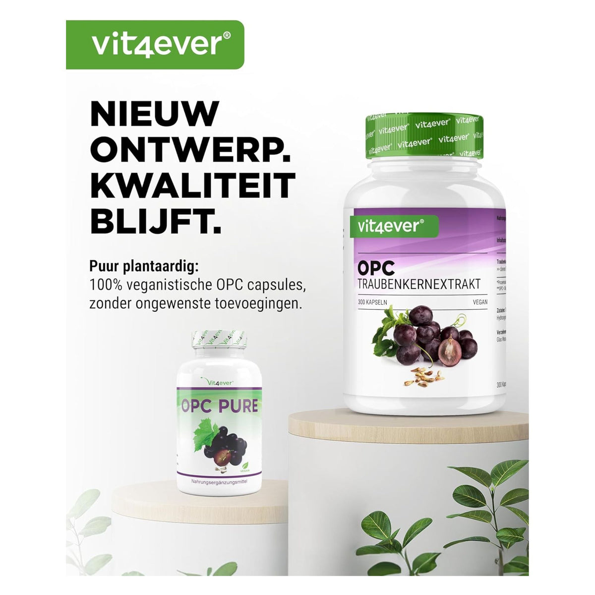 Vit4ever Extrait de pépins de raisin OPC 1000mg - complément à base de plantes sans additifs inutiles